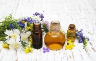 A la découverte des huiles essentielles A la découverte des huiles essentielles
