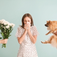 La réflexologie et les allergies