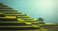 Voyages initiatiques en Asie Voyages initiatiques en Asie