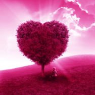 Révéler le 13 OR - Voyage Alchimique au coeur de Soi Révéler le 13 OR - Voyage Alchimique au coeur de Soi
