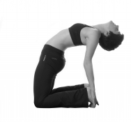 Yoga les postures d'extension vers l'arrière Yoga les postures d'extension vers l'arrière