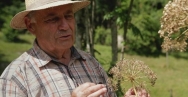 Conférence avec le druide de la Broye Conférence avec le druide de la Broye