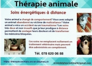 Thérapie animale