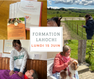 Formation LaHoChi avec les chevaux, sans pré-requis