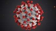 Soins énergétiques et coronavirus Soins énergétiques et coronavirus