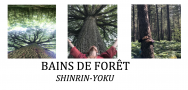 Bains de Forêt Bains de Forêt