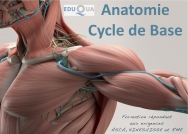 Anatomie, Physiologie, Pathologie 153 h en lundi Anatomie, Physiologie, Pathologie 153 h en lundi