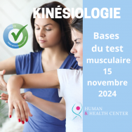 Bases du test musculaire (Kinésiologie cours de base)