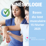 Bases du test musculaire (Kinésiologie cours de base)