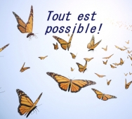 Le pouvoir extraordinaire de l’intention Le pouvoir extraordinaire de l’intention