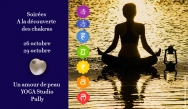 Soirée A la découverte des chakras Soirée A la découverte des chakras