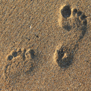 Devenez Praticien.ne en Réflexo-Reiki