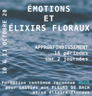 Émotions et élixirs floraux Émotions et élixirs floraux