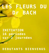 Initiation aux fleurs du Dr Bach