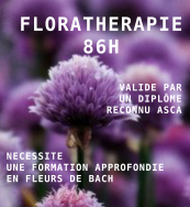 Florathérapie: formation professionnelle diplômante Florathérapie: formation professionnelle diplômante